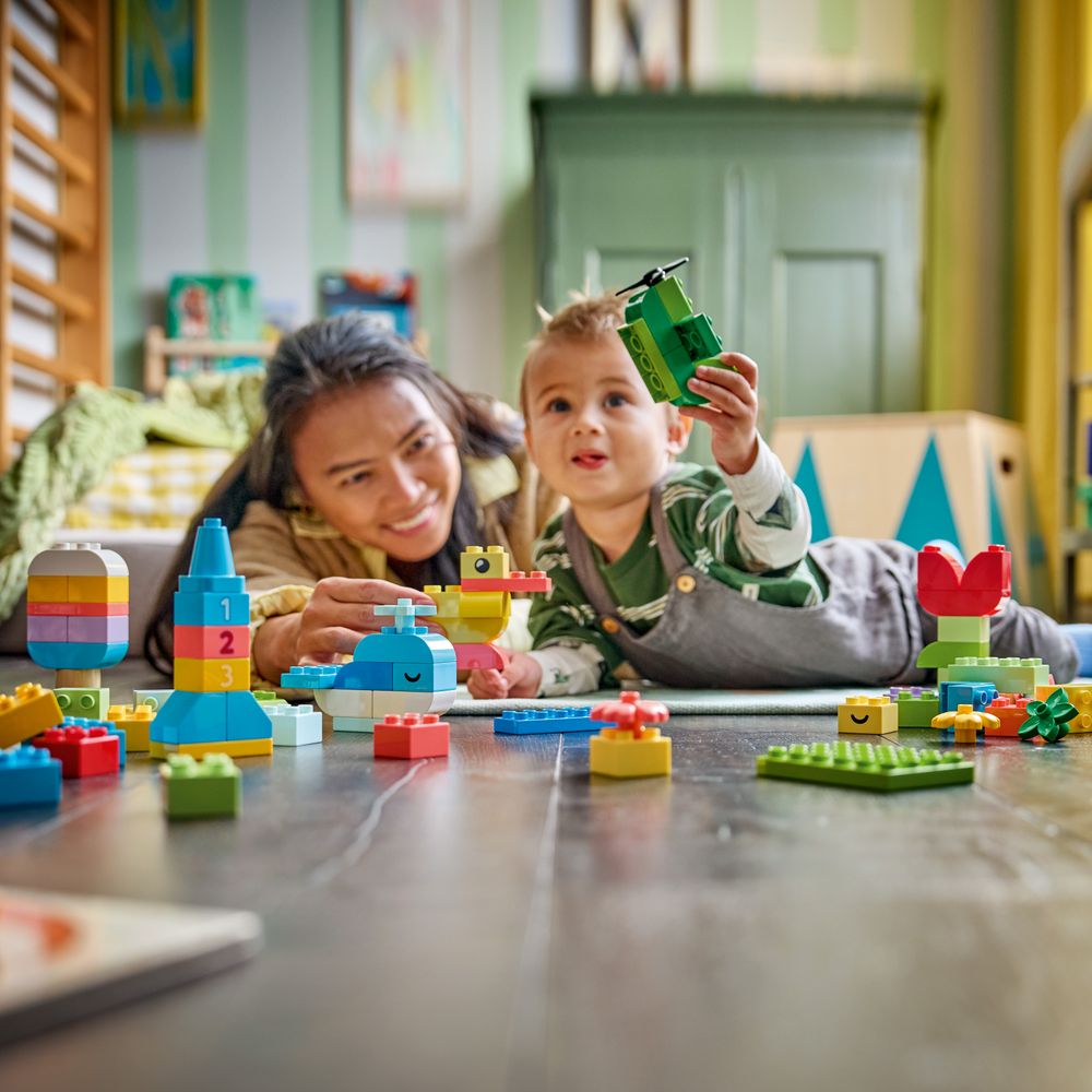 Colorful Creative Box LEGO 10479