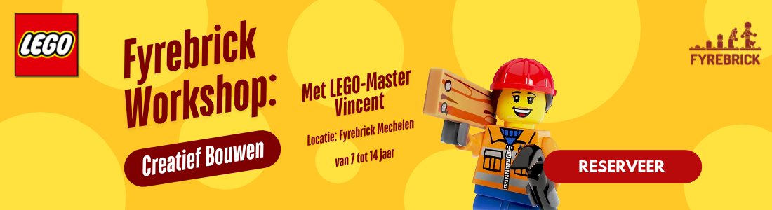 https://fyrebrick.be/products/workshop-creatief-bouwen-met-vincent