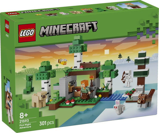 First Night Adventure LEGO 21593