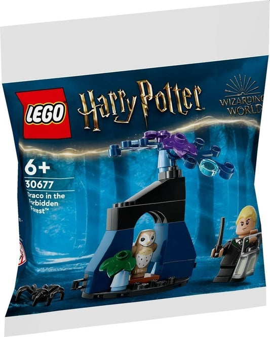 Draco in the Forbidden Forest Lego 30677